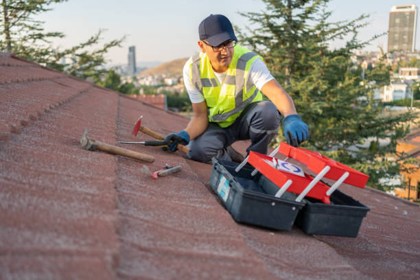 Best Demolition Debris Removal  in Pine Mountain Clu, CA